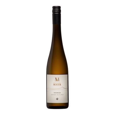 Grüner Veltliner Nussbaum 2022 750ml