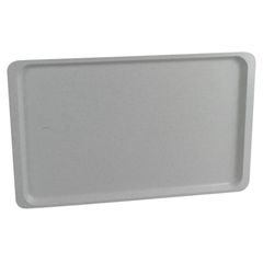 Tablett Polyester grau GN1/1 von Roltex