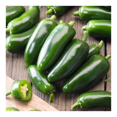 Bio Chili Jalapeo 3.75g Saatgut von Living Seeds jetzt online kaufen!