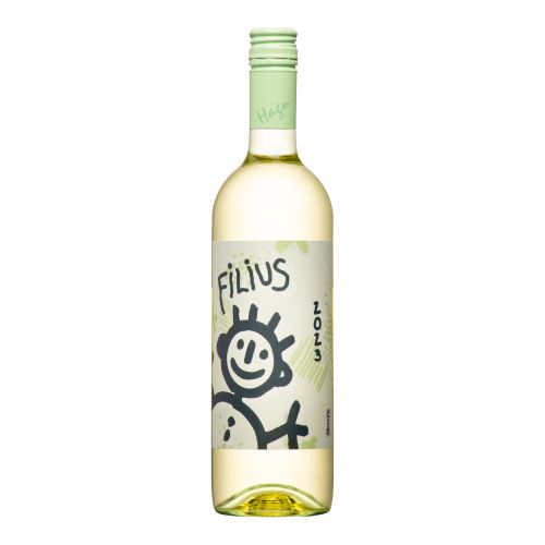 Grüner Veltliner Filius 2023 3000ml von Hagn