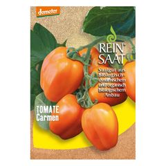 Bio Buschtomate Carmen Samen - 5er Vorteilspack von Reinsaat