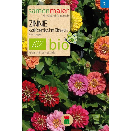 Bio Kalifornische Riesen Zinnien Mischung - Saatgut für zirka 30 Pflanzen