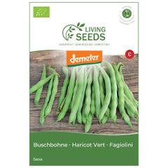 Bio Buschbohne grün Saxa 13.6g Saatgut von Living Seeds