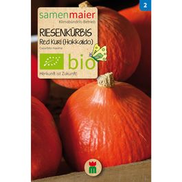 Organic Pumpkin Red Kuri - Order seeds for around 5 plants from Samen ...