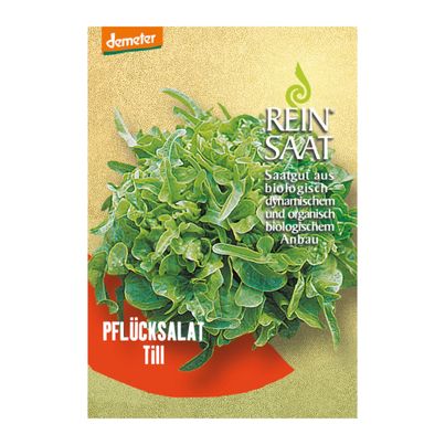 Bio Pflücksalat Schnittsalat Till Saatgut - 1 Beutel - 5er Vorteilspack von Reinsaat