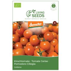 Bio Tomate Goldiana 3.75g Saatgut von Living Seeds