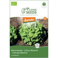 Bio Bataviasalat La Brillant 4.1g Saatgut von Living Seeds