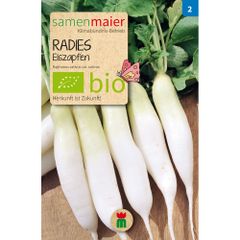 Bio Radies Eiszapfen - Saatgut für zirka 100 Radies