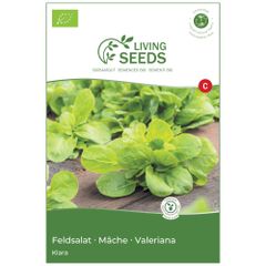 Bio Feldsalat Klara 8.6g Saatgut von Living Seeds