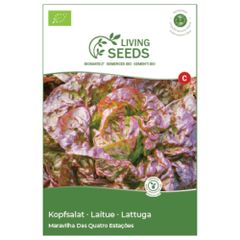 Bio Kopfsalat Marvel of Four Seasons 4.1g Saatgut von Living Seeds