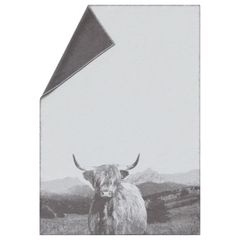 Flanelldecke Hochlandrind 140 x 200 cm - Rohweiß - GRS zertifiziert