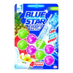 WC-Stein Kraft Aktiv Hawaii 250g von Blue Star