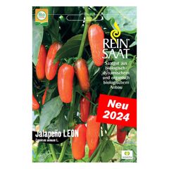 Bio Jalapeno Leon Samen - 5er Vorteilspack von Reinsaat
