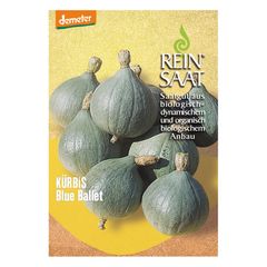 Bio Kürbis Blue Ballet Samen - 5er Vorteilspack von Reinsaat