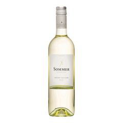 Bio Grüner Veltliner Klassik 2024 750ml von Leo Sommer