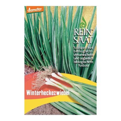 Bio Winterheckezwiebel Saatgut - 1 Beutel - 5er Vorteilspack von Reinsaat