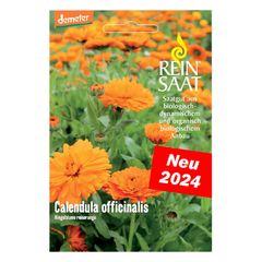 Organic Pure Orange Marigold Seeds – 5-pack value pack from Reinsaat
