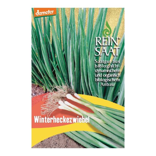 Bio Winterheckezwiebel Saatgut - 1 Beutel - 5er Vorteilspack von Reinsaat