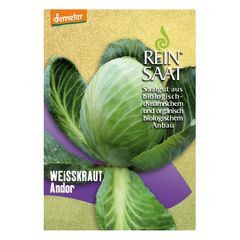 Bio Lagerkraut Andor - 5er Vorteilspack von Reinsaat