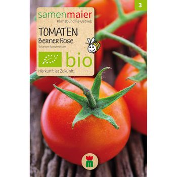 Bio Tomaten Berner Rose - Fleischtomate - Saatgut für zirka 10 Pflanzen
