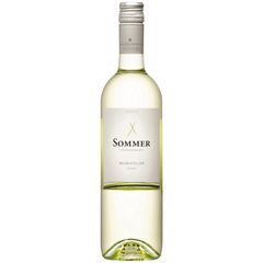 Bio Muskateller MUMO 2025 750ml von Leo Sommer