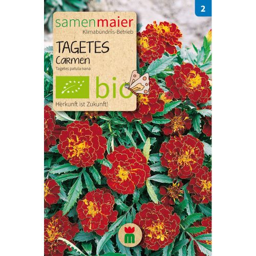 Bio Tagetes Carmen - Saatgut für zirka 30 Pflanzen