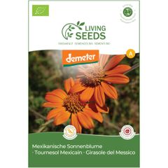 Bio Mexikanische Sonnenblume 4.1g Saatgut von Living Seeds