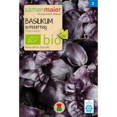 Bio Basilikum rotblättrig - 0.3 g Saatgut