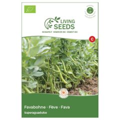 Bio Favabohne 13.6g Saatgut von Living Seeds