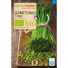 Bio Schnittlauch Twiggy feinröhrig - 0.3 g Saatgut