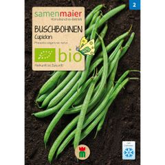 Bio Buschbohnen Filetbohne Cupidon - Saatgut für zirka 25 Pflanzen
