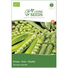 Bio Erbse Kelvedon Wonder 13.6g Saatgut von Living Seeds