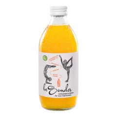 Bio Kurkuma Ingwer EW 330ml - 12er Vorteilspack von Besonder