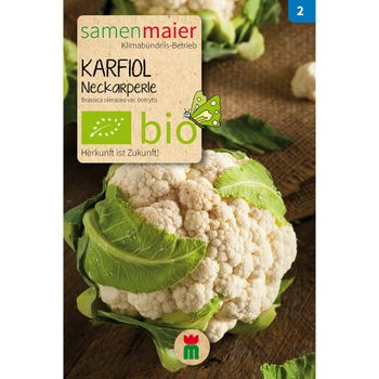 Bio Karfiol Neckarperle - Saatgut für zirka 20 Pflanzen