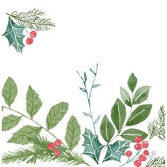 Servietten WinterG. 4lg. 40x40 50ct von Duni