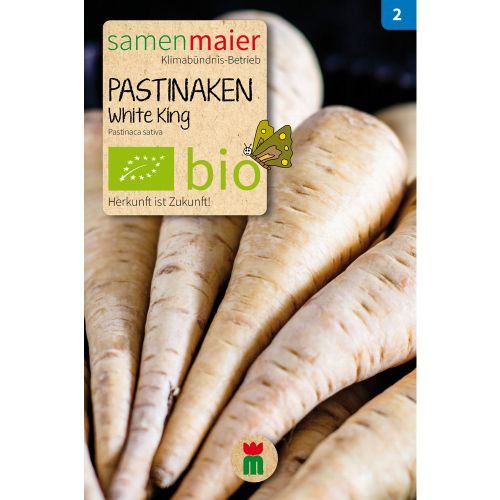 Bio Pastinaken White King - Saatgut für zirka 100 Pflanzen