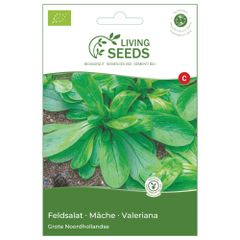 Bio Feldsalat Grote Noordhollandse 8.6g Saatgut von Living Seeds