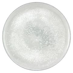 Smart Salt Teller coup von Bauscher