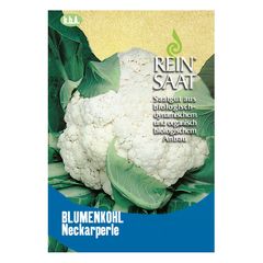 Bio Blumenkohl Neckarperle Samen - 5er Vorteilspack von Reinsaat