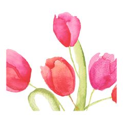 ServiettenPaintedTulip3lg33x33 50ct von Duni