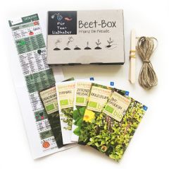 Bio Beet Box - Für Teeliebhaber - Saatgut Set inklusive Pflanzkalender und Zubehör - Geschenkidee für Hobbygärtner