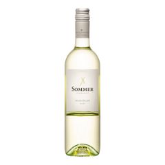 Bio Muskateller MUMO 2024 750ml von Leo Sommer