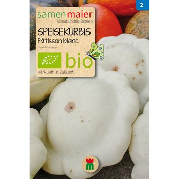 Bio Speisekürbis Patisson blanc - 8 Korn Saatgut
