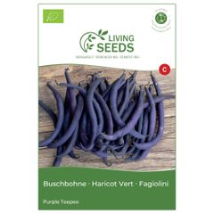 Bio Buschbohne violett Purple teepee 13.6g Saatgut von Living Seeds