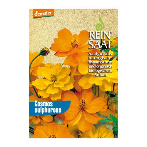 Bio Cosmos orange Saatgut - 1 Beutel - 5er Vorteilspack von Reinsaat