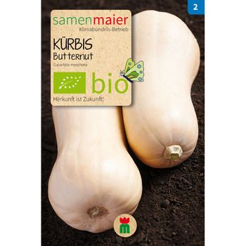 Bio Butternut Kürbis - Saatgut für zirka 5 Pflanzen