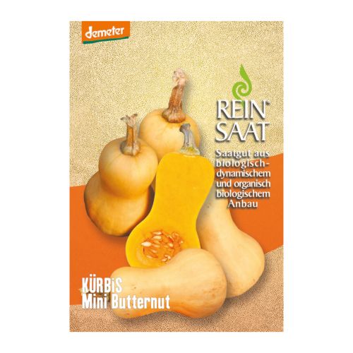 Bio Kürbis Mini Butternut Saatgut - 1 Beutel - 5er Vorteilspack von Reinsaat