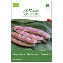Bio Buschbohne rot geflammt Sanguigno 13.6g Saatgut von Living Seeds