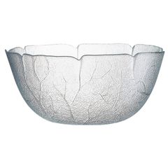 Aspen Schüssel 21lt von Arc