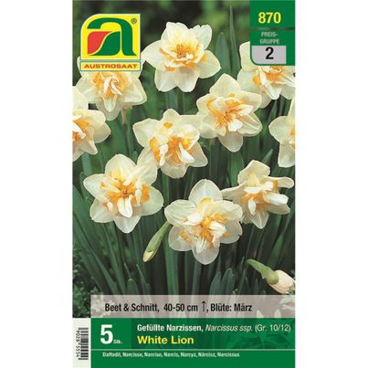 Flower bulb Autumn 2 from Austrosaat